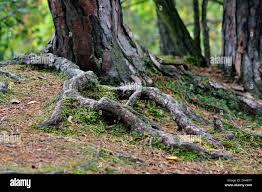 Wohlfühltag im Dezember